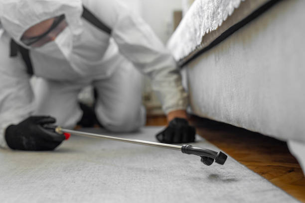 Professional Bed Bug Control technician working in Highland City, FL