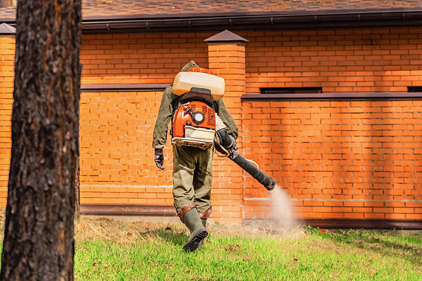 Trusted Termite Control service in Highland City, FL - Nex Pest Control
